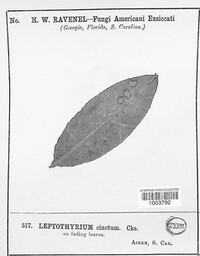 Image Associated With the Occurence